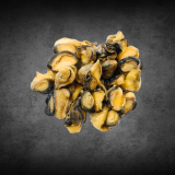 Thai Fresh Snail Meat