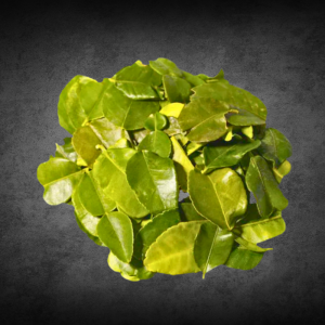 THAI Fresh Keffir Lime Leaves